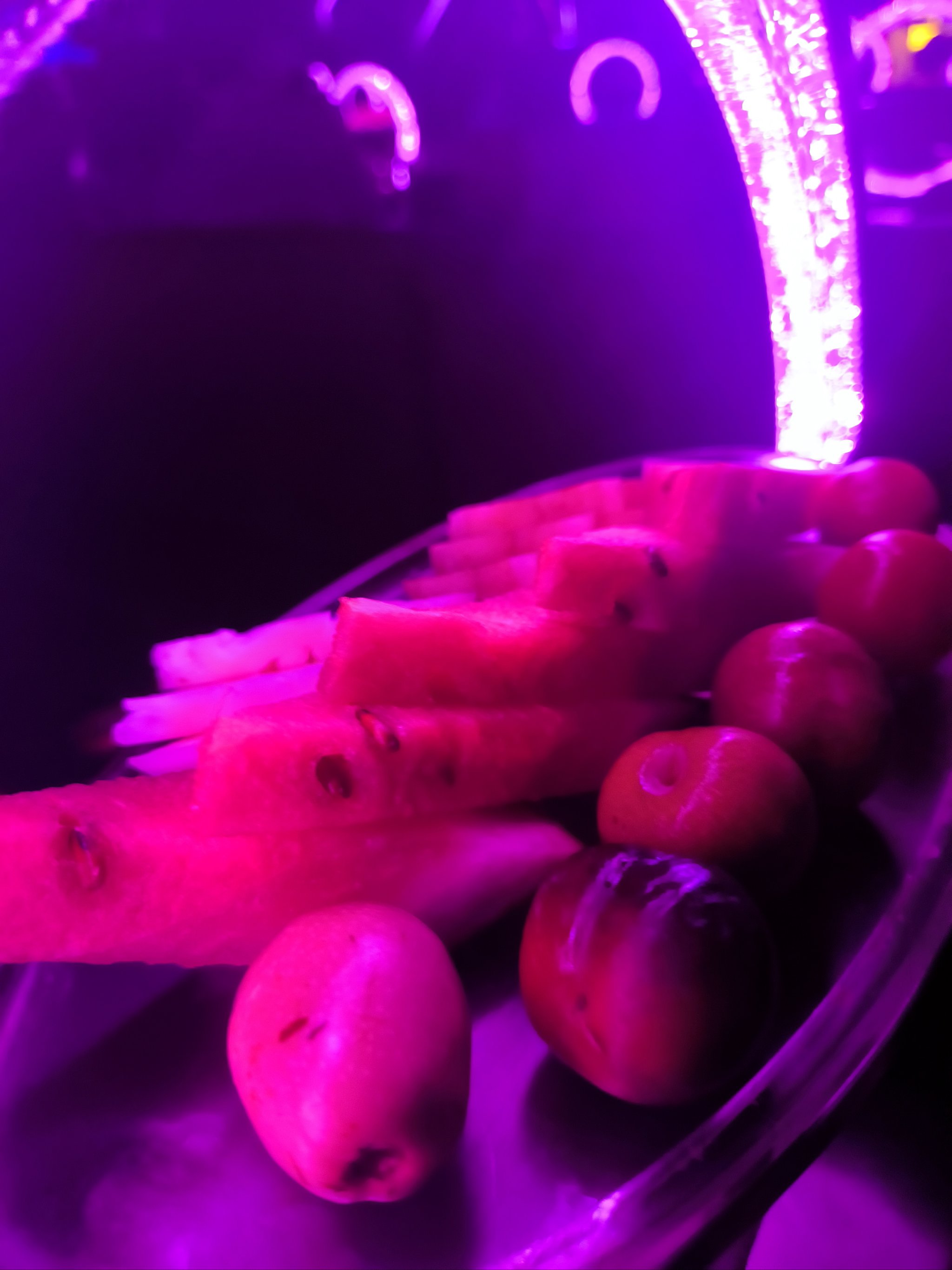 清远商务ktv推荐单人商务ktv精选-清城区ktv预订